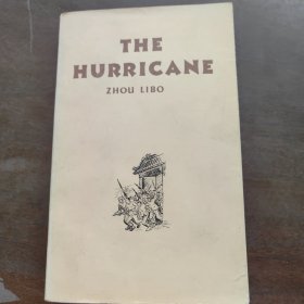 THE HURRICANE （暴风骤雨）