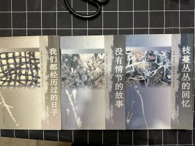 没有情节的故事+我们都经历过的日子+枝蔓丛丛的回忆（系列丛书，三本齐）