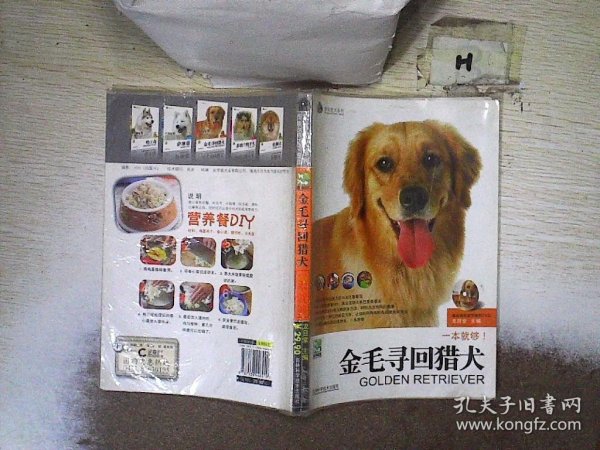 金毛寻回猎犬