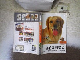 金毛寻回猎犬