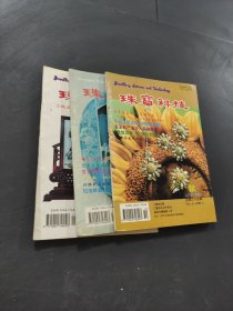 珠宝科技