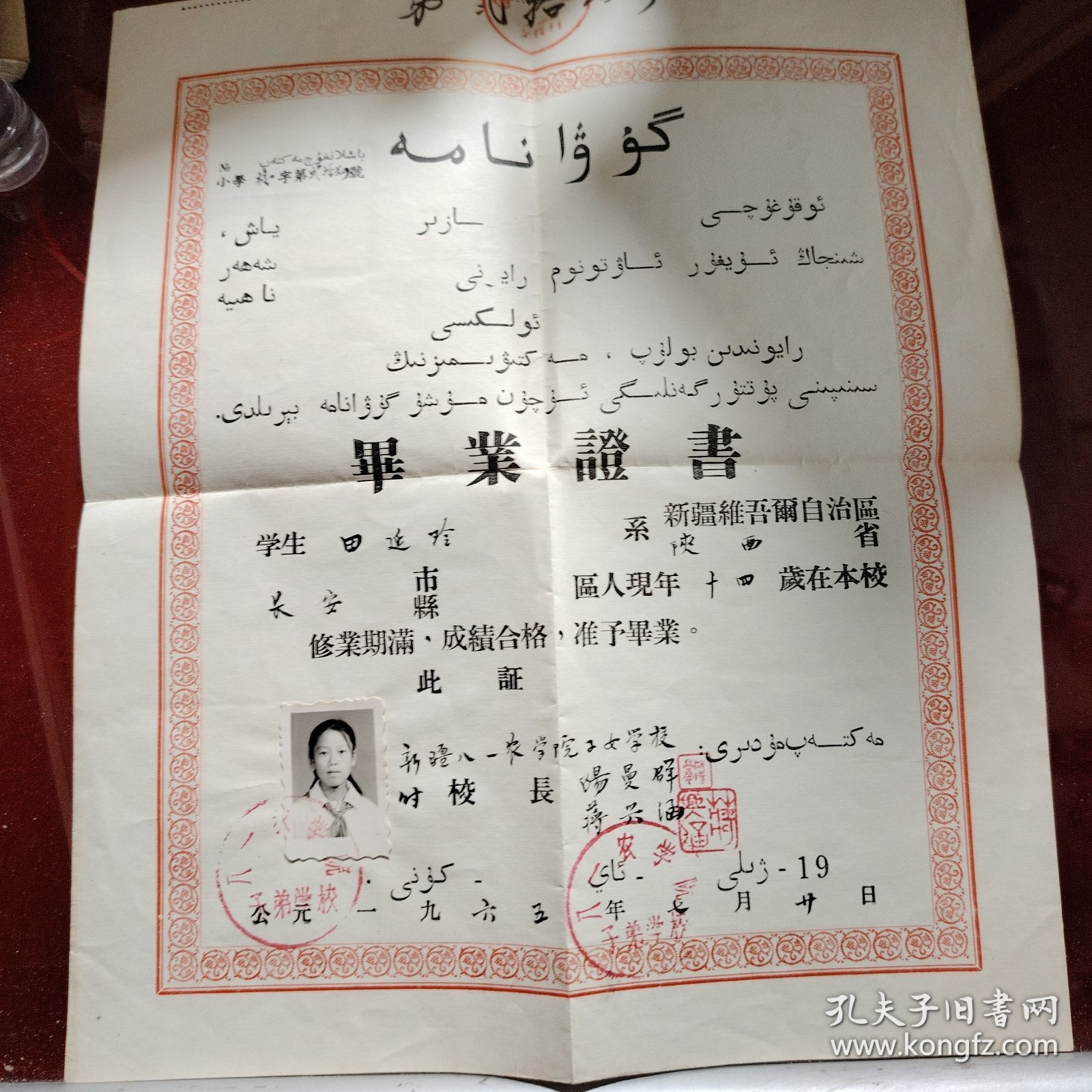 新疆八一农学院子女学校 毕业证书 学生田延玲 1965年7月20日 有少数民族语言 有本人照片 品相95左右