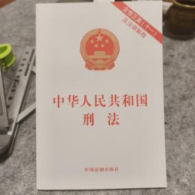 中华人民共和国刑法（含修正案十一及法律解释）