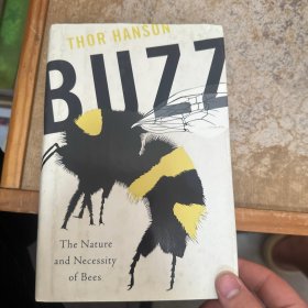thor hanson buzz
