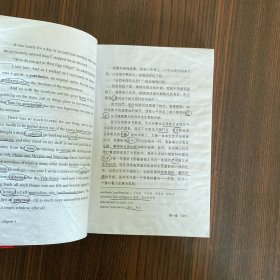 了不起的盖茨比 正版无删减英文版原版原著翻译中文全译本英汉对照 世界名著-振宇书虫（英汉对照注释版）