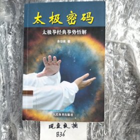 太极密码：太极拳经典拳势悟解