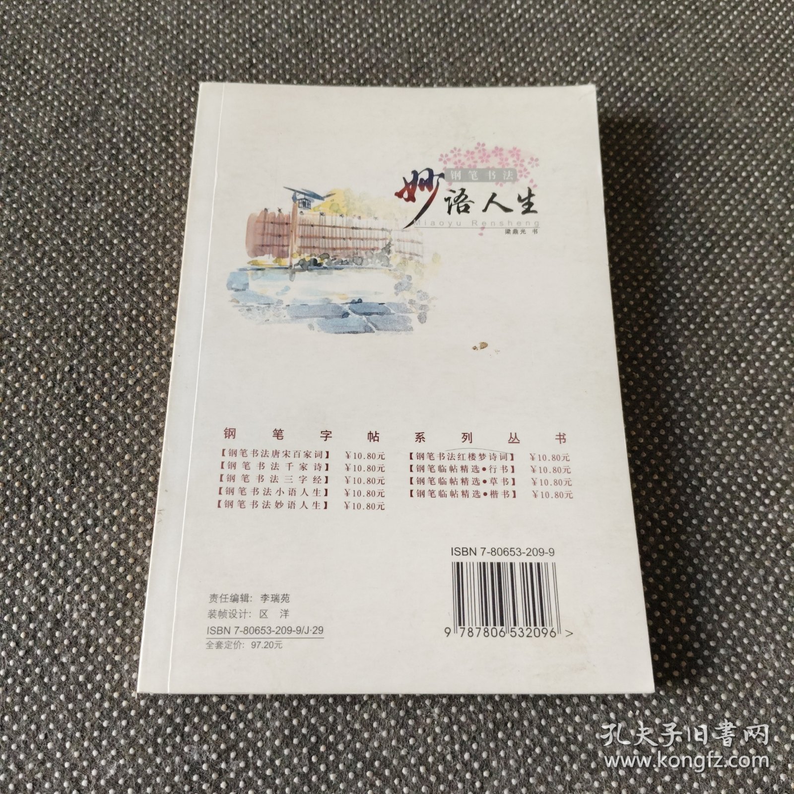 钢笔书法：红楼梦诗词