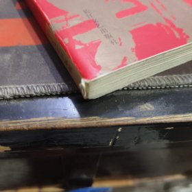 中国城市批判（如图书脊有瑕疵 扉页有瑕疵）