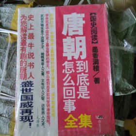 唐朝到底是怎么回事全集（16开大本）