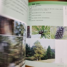 园林设计树种手册