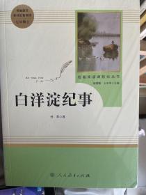 白洋淀纪事 名著阅读课程化丛书（统编语文教材配套阅读）七年级上