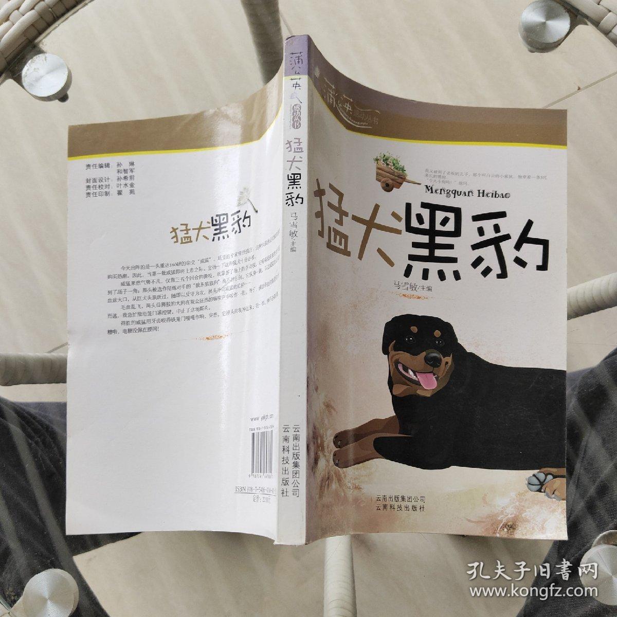 猛犬黑豹/蒲公英感动丛书