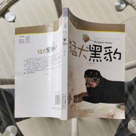 猛犬黑豹/蒲公英感动丛书
