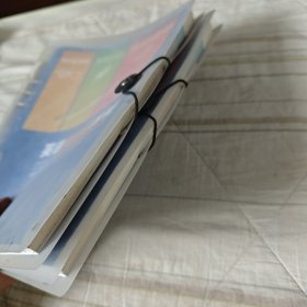 英语读写译教程 （第2册）