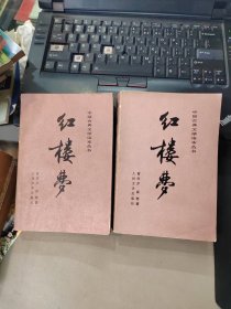 中国古典文学读本丛书 ：红楼梦 中下 两册-配彩图 品如图