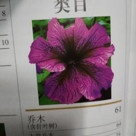 DK 世界园林植物与花卉百科全书