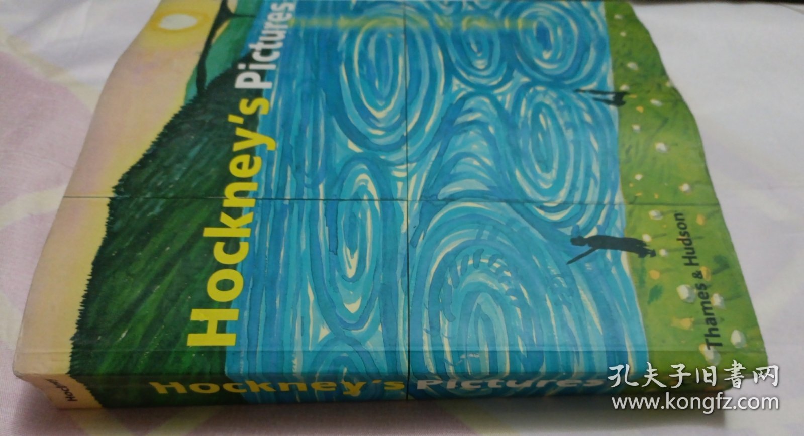 Hockney's Pictures（145—176页书脊有脱胶。请谨慎下单，售后不退，请勿议价，非诚勿扰。）塑柜四层