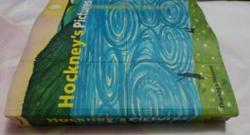 Hockney's Pictures(145—176页书脊有脱胶。请谨慎下单,售后不退,请勿议价,非诚勿扰。)塑柜四层