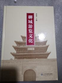 聊城游览文化精装共486页实物拍摄（聊城架）