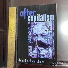 After Capitalism (New Critical Theory) 英文原版