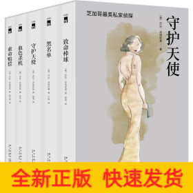 守护天使 芝加哥首席女侦探精选集(5册)