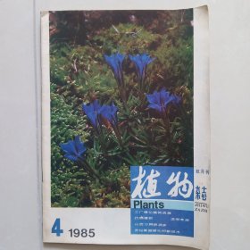 植物杂志 1985年第4期