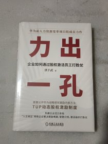 力出一孔：企业如何通过股权激活员工打胜仗【精装 没开封】