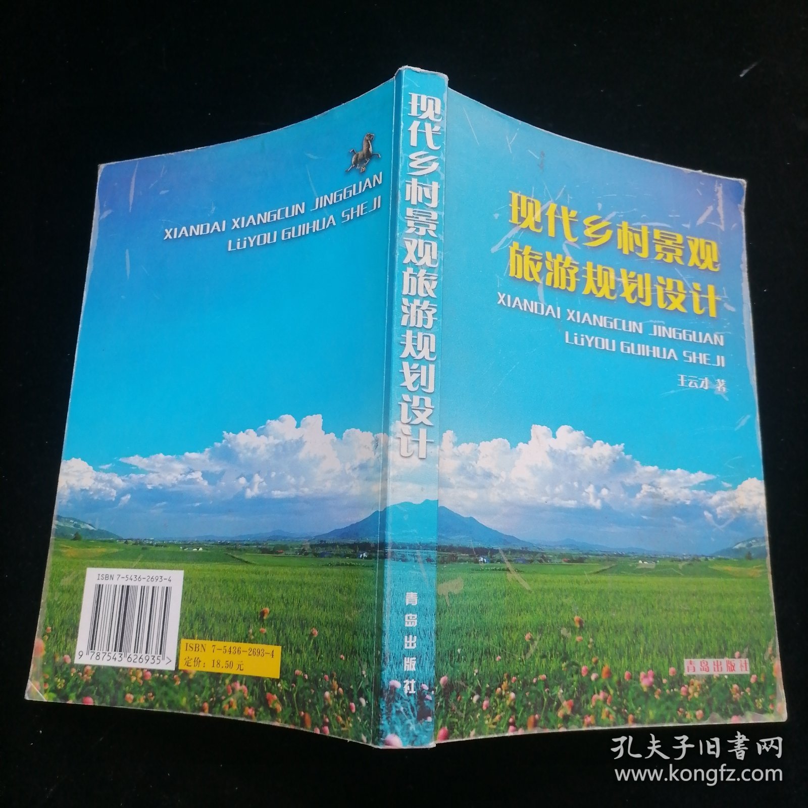 现代乡村景观旅游规划设计