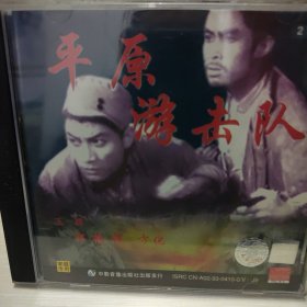 平原游击队2vcd