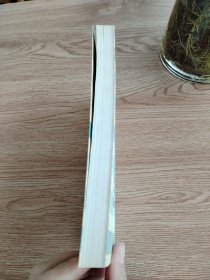 A17 “入世”与多元化国际市场