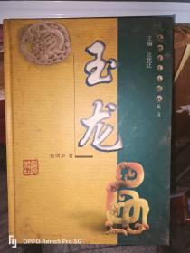 玉龙  文物鉴定与辨伪丛书（16开精装 现货）