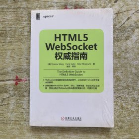 HTML5 WebSocket权威指南