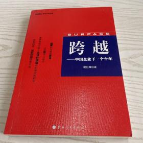 跨越：中国企业的下一个十年