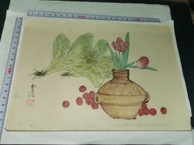 16开老画片---《蔬果》！（二，孙雪泥 作，1956年初版一印，上海图片出版社）先见描述！