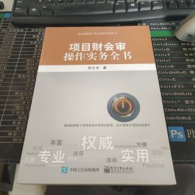 项目财会审操作实务全书