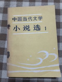 中国当代文学 戏剧选（1、2）史料选（1、2）诗歌选（1、2）小说选（1、2、3、4）散文选（1）