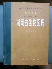 《湖南古生物图册》（中华人民共和国地质矿产部·地质专报 二地层 古生物 第1号），厚册！