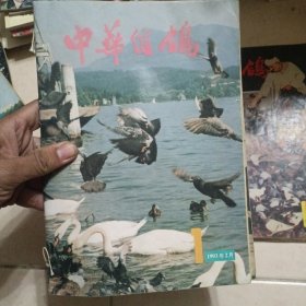 中华信鸽杂志13本打包合售，见描述。