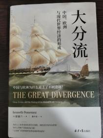 大分流：中国、欧洲与现代世界经济的形成（全新译本）