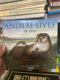 ANIMAL LIVES The Otter 原版外文