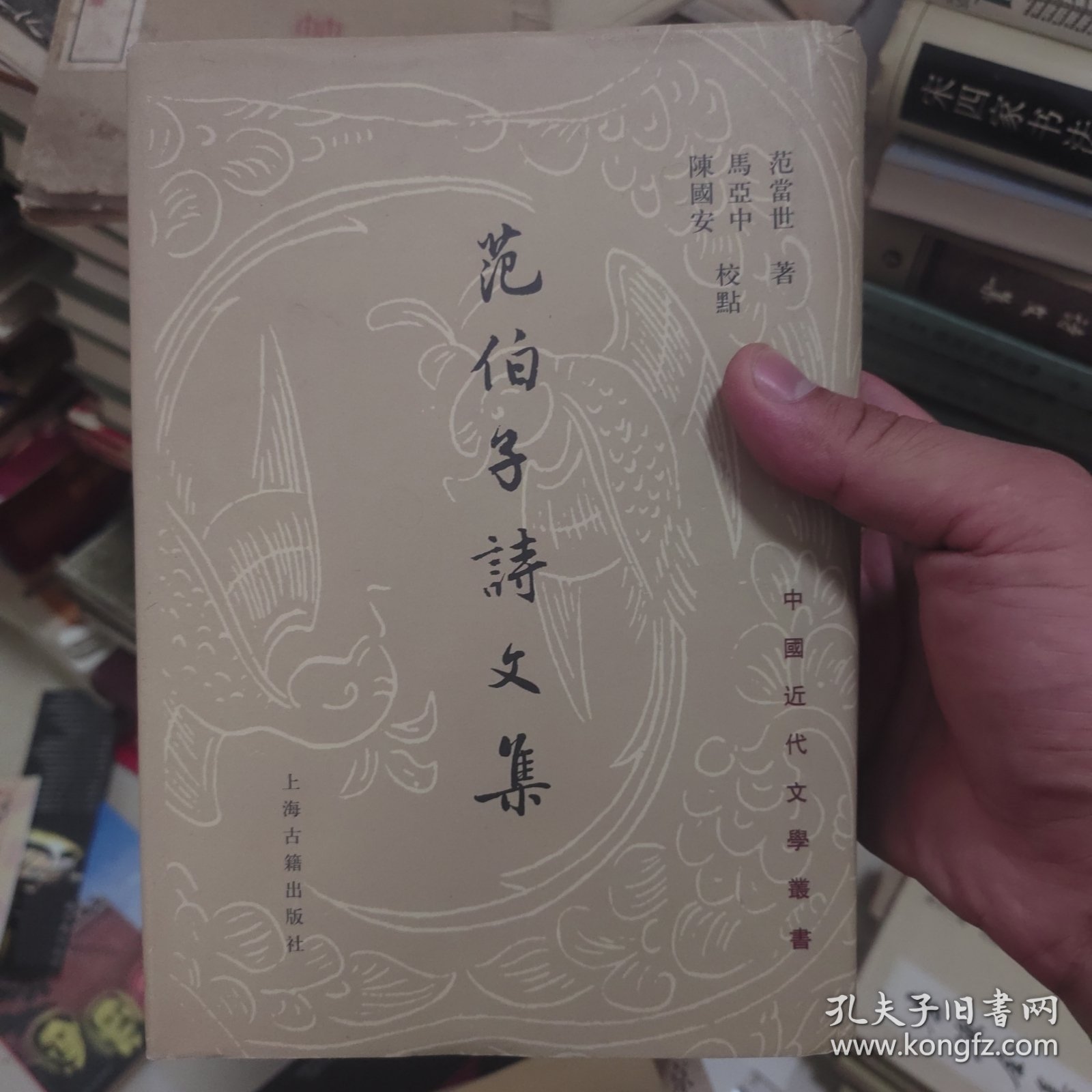 范伯子诗文集：中国近代文学丛书