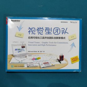 视觉型团队：应用可视化工具开创团队创新新模式（双色）