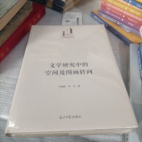 文学研究中的空间及图画转向