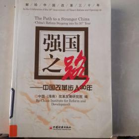 强国之路：中国改革步入30年