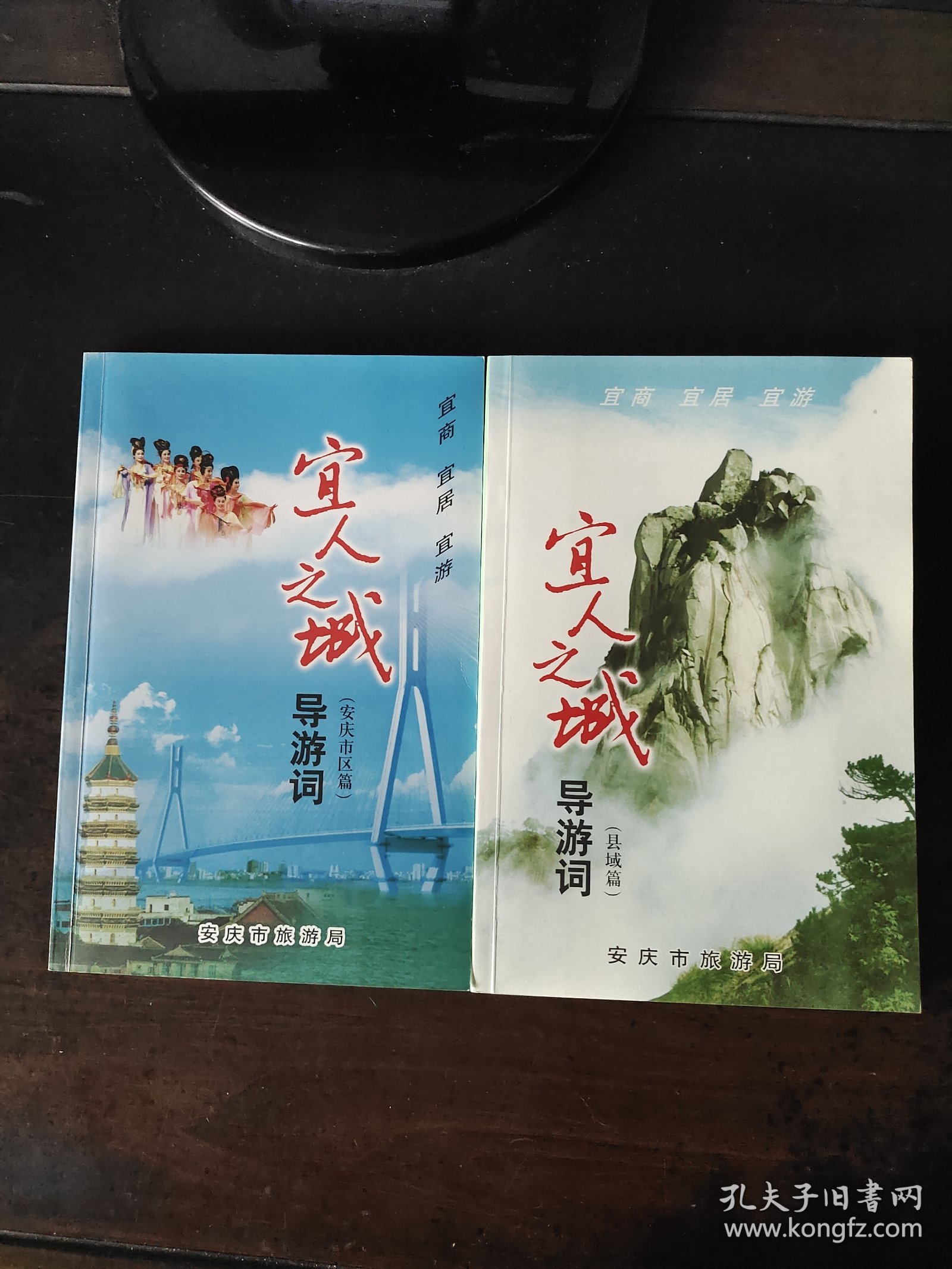 宜人之城导游词一安庆市区篇、县域篇 两本合售