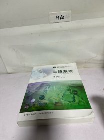 生殖系统