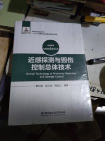 近感探测与毁伤控制总体技术