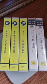 记录资料片录像带5盘合售