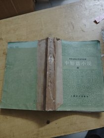 陀思妥耶夫斯基作品集中短篇小说 二