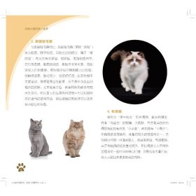 宠物犬猫饲养一本通